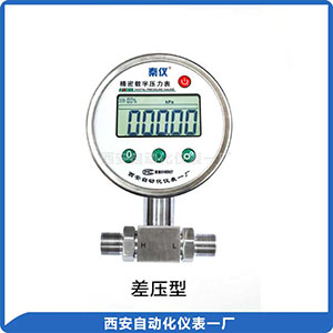 DP-100數(shù)字壓力表